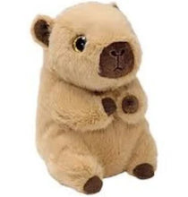 Load image into Gallery viewer, Ty Beanie Boos
